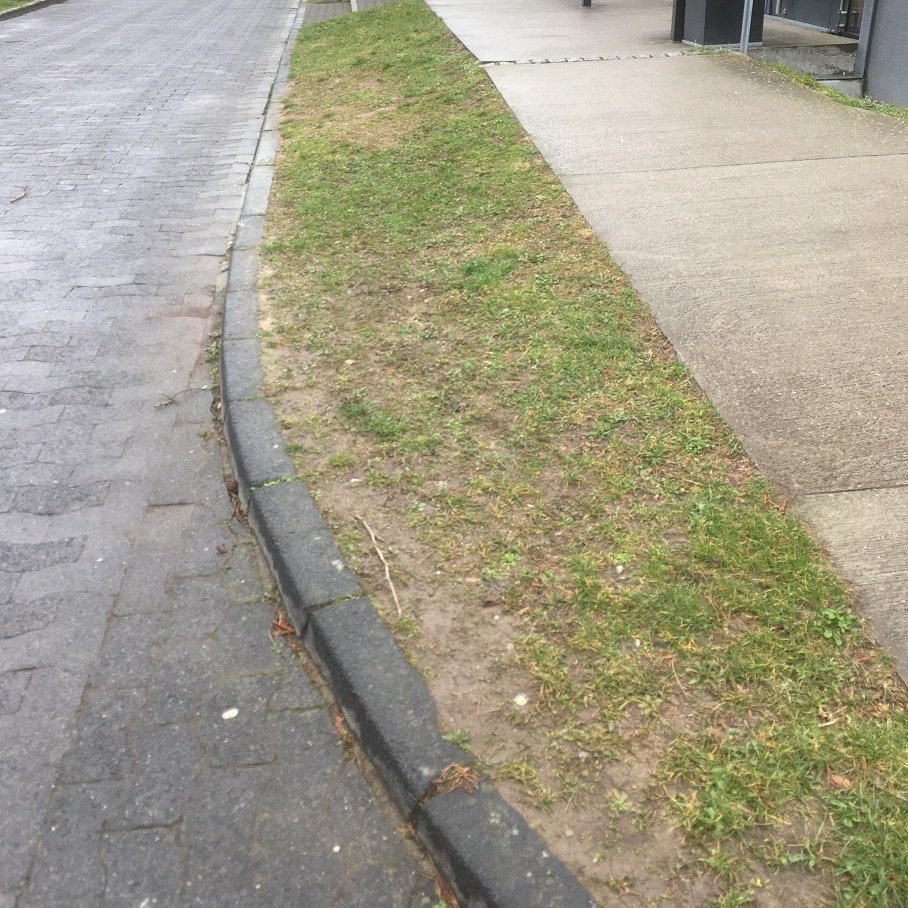 Grasläche vor der Pflanzaktion