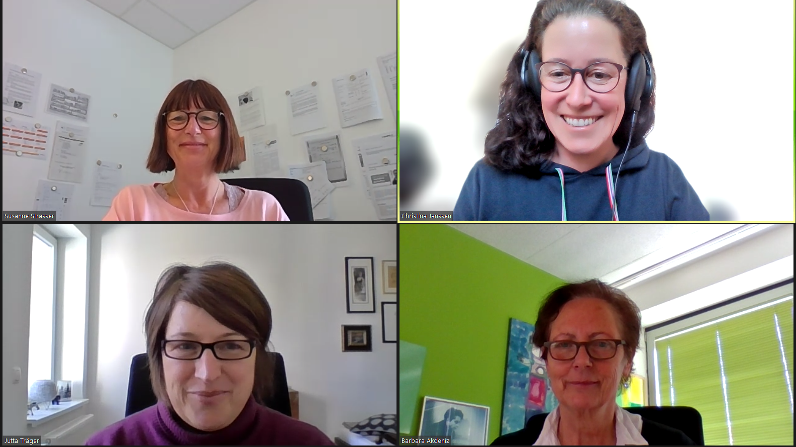 Screenshot des zoom-Meetings 
